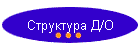 Структура Д/О